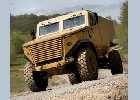 Ocelot     